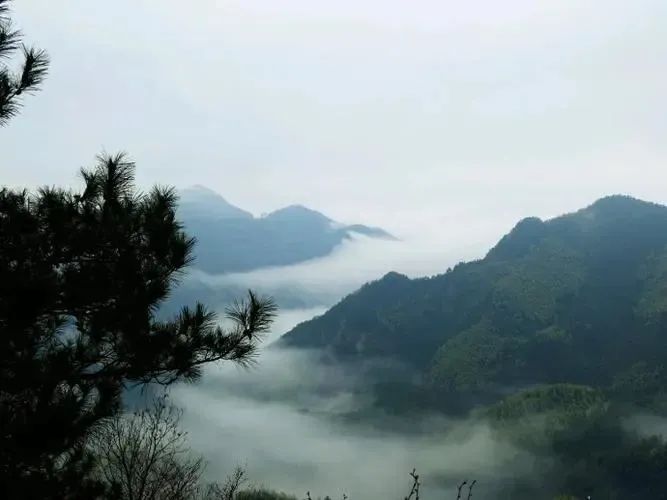 湖北鑫和绿色能源有限公司